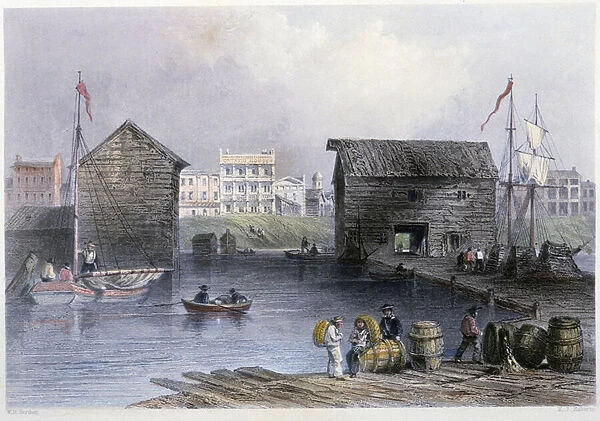 View of the Toronto Docks - in 'Canadian scenery illustrated'