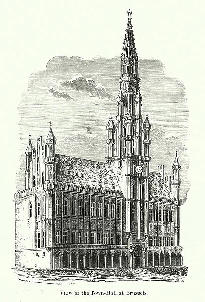 View of the Town-Hall at Brussels (engraving)