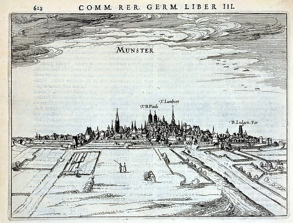View of the town of Munster, from Rerum Germanicarum, by P