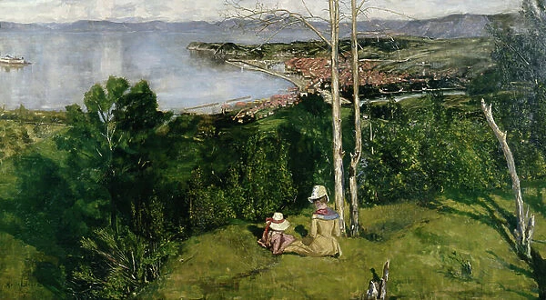 View over Trondheim, 1886