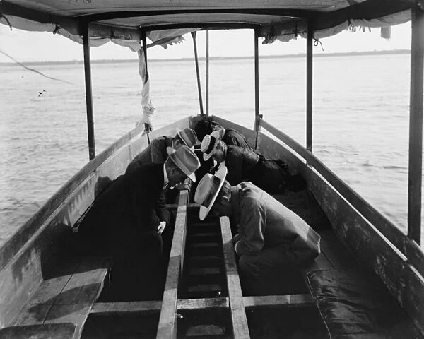 Viewing the marine gardens through bottom of boat, Nassau, Bahamas, 1900 (b  /  w photo)