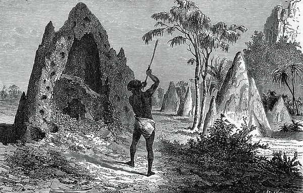 Village of warlike termites (termitiere), Africa. Engraving 1897