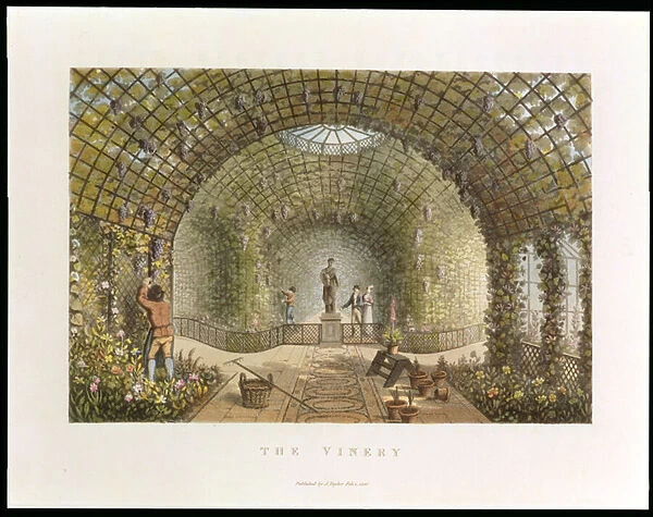 The Vinery, from Fragments on the Theory and Practice of Landscape Gardening
