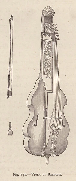 Viola di Bardone (engraving)