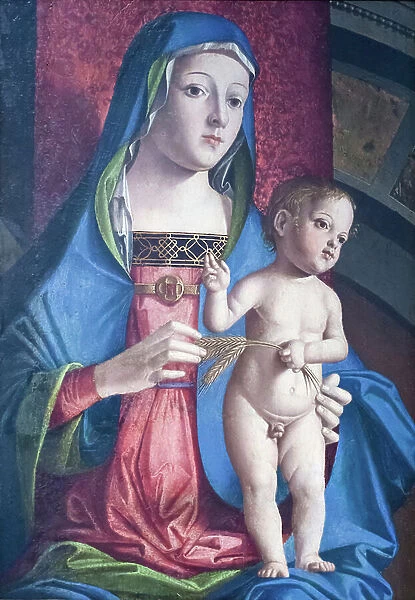 Virgin with child, 1506-1513, (oil on panel)