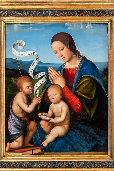 The Virgin Mary with Infant Jesus and Infant St. John, 1500-05 (oil on panel)
