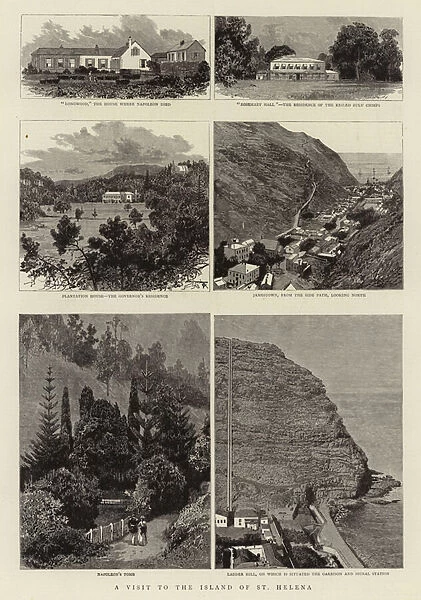A visit to the Island of St Helena (engraving)