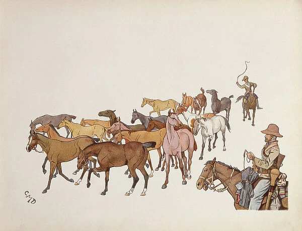 The Volunteers Ponies, from The Leaguer of Ladysmith, 1900 (colour litho)