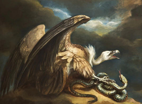 Vulture and Snake, 1798 (oil on canvas)
