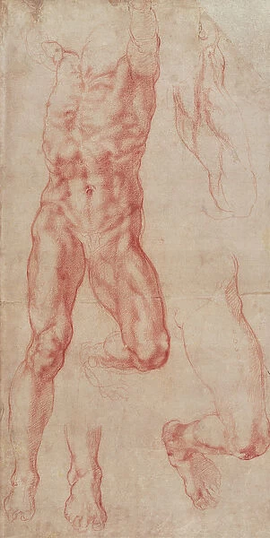 W. 13r Study of a male nude, stretching upwards (chalk on paper)