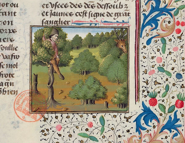 Waiting for Deer Hiding in a Tree, from the Livre de la Chasse