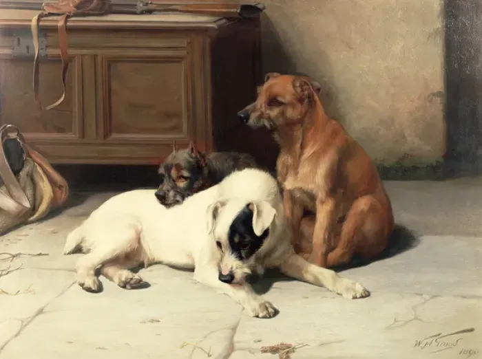 Framed Print : Waiting For Master