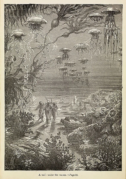 A walk under the waters from 20 000 Leagues Under The Sea, c.1870 (engraving)