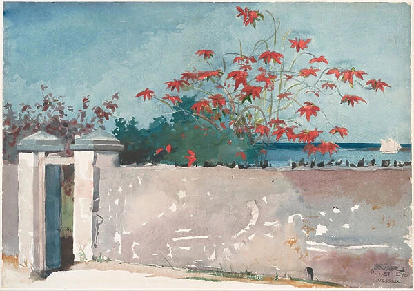 A Wall, Nassau, 1898 (w  /  c and graphite on paper)