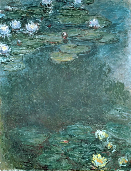 Water-Lilies (oil on canvas)