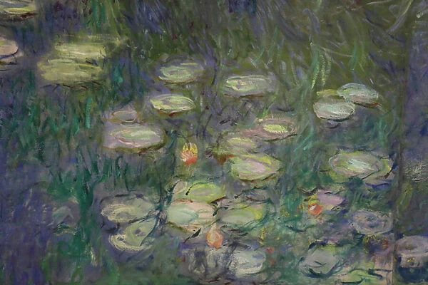 Water Lilies (oil on canvas)