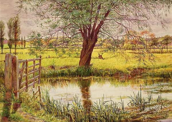 Water Meadow, 1865