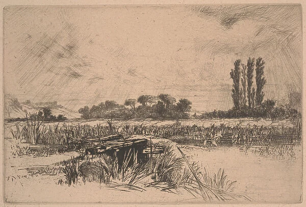 A Water Meadow (etching & drypoint)