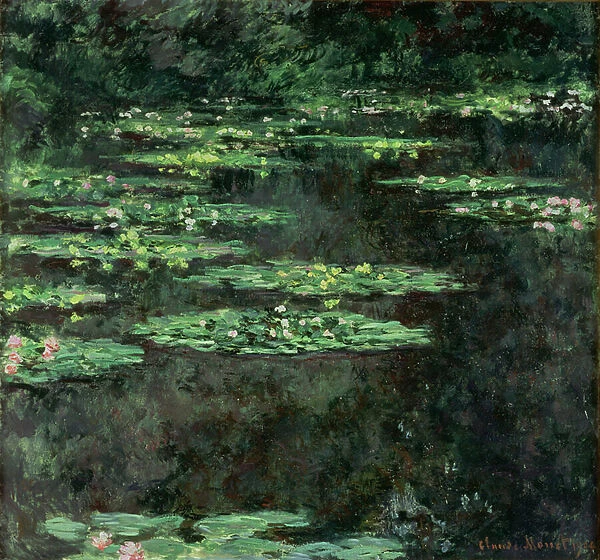 Waterlilies, 1904 (oil on canvas)