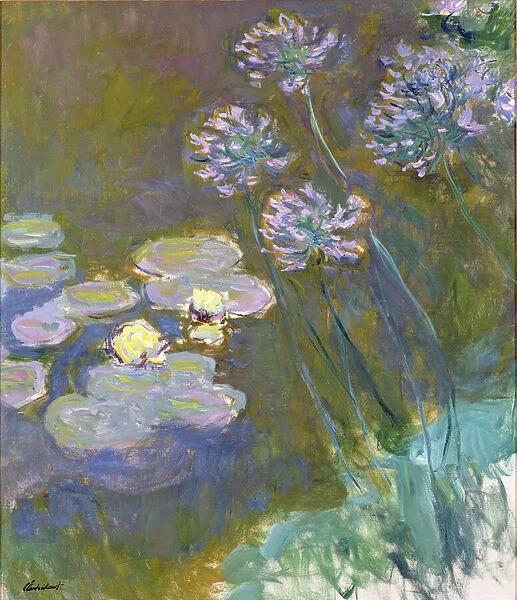 Waterlilies and Agapanthus, 1914-17 (see detail 414400) (oil on canvas)