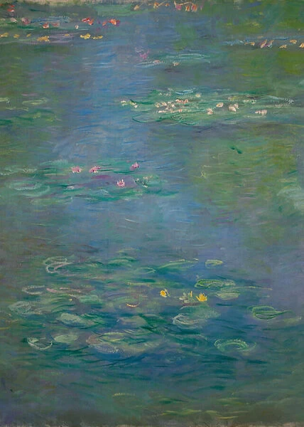 Waterlilies, detail, 1903 (oil on canvas)(see also 160198)
