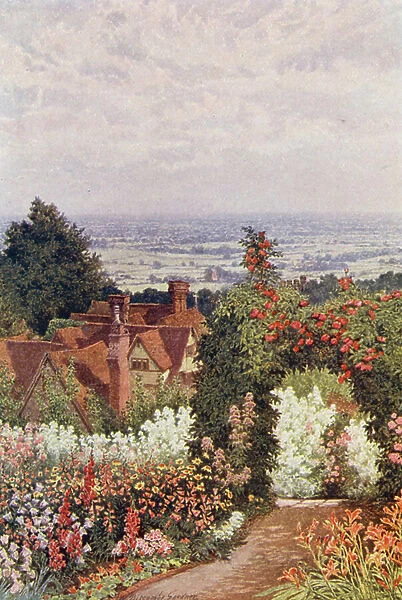 The Weald from the Doctor's Garden, Sutton Valence (colour litho)