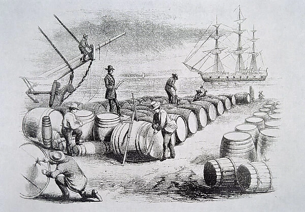 Whalers gauging oil in barrels, from The American Whale Fishery, c. 1850 (engraving)