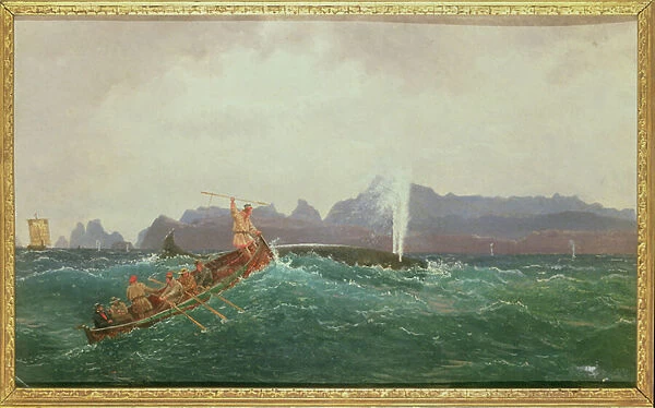 A Whaling Scene