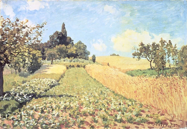 Wheat Field (oil on canvas)