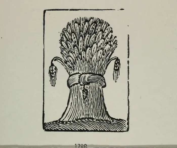 Framed Print : A wheat sheaf