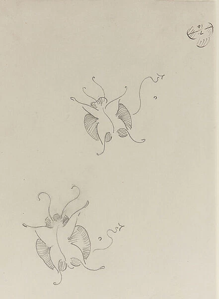 Two Whistler Butterflies, c. 1890 (pencil on paper)