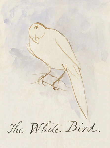The White Bird, from Sixteen Drawings of Comic Birds (pen & ink w  /  c on paper)