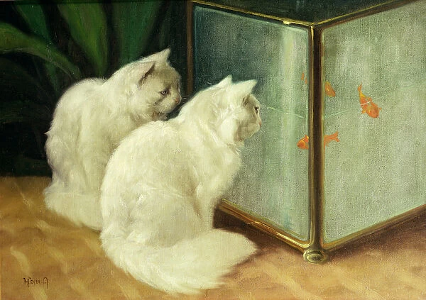 White Cats Watching Goldfish (oil on canvas)