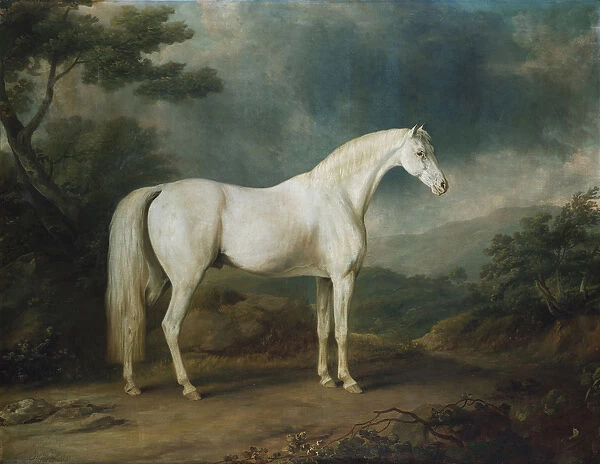 White horse in a wooded landscape, 1791 (oil on canvas)