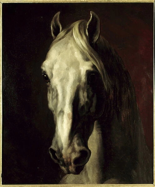White horses head. Painting by Theodore Gericault (1791-1824), 19th century. Dim: 0