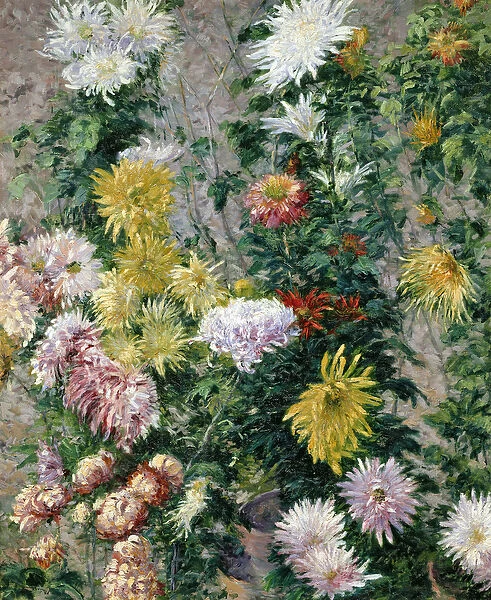 White and Yellow Chrysanthemums, 1893 (oil on canvas)