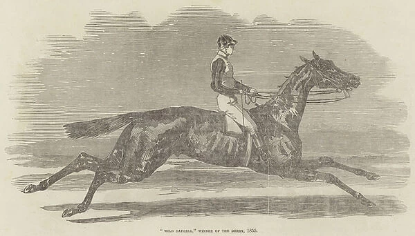 'Wild Dayrell, 'Winner of the Derby, 1855 (engraving)