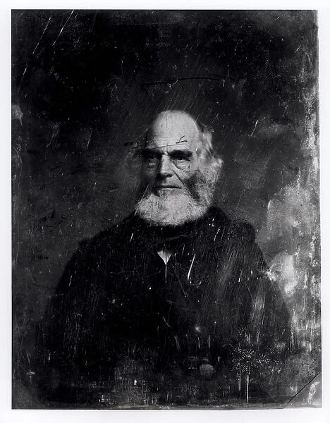 William Cullen Bryant (1794-1878) c. 1851-60 (daguerreotype)