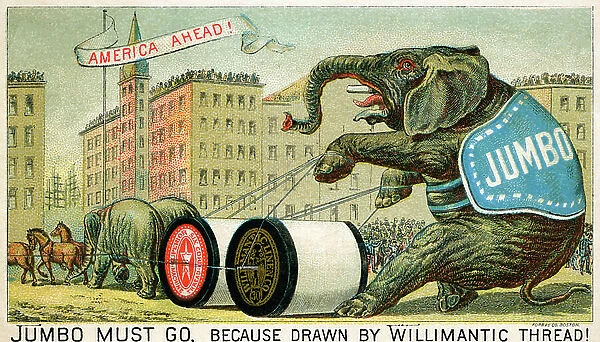 Willimantic Thread - late 19th century advertisement