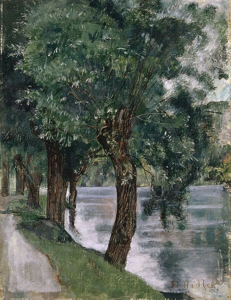 Willow Trees at the Rhone, c. 1885 (oil on canvas)