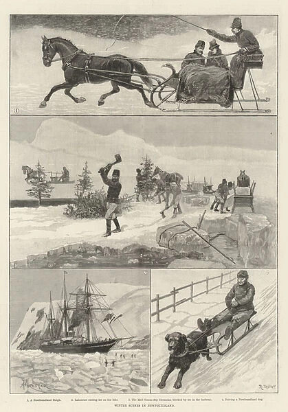 Winter Scenes in Newfoundland (engraving)