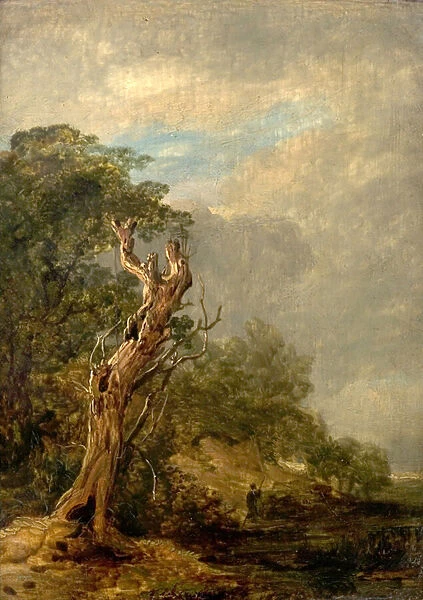 The Withered Tree (oil on wood)