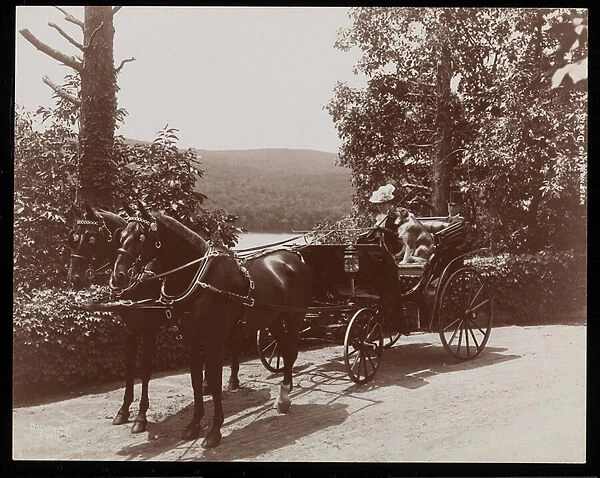 A woman and a dog in a horsedrawn carriage, 1899 (silver gelatin print)
