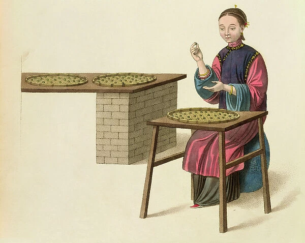 A Woman Preparing Tea, plate 21 from The Costume of China, engraved by J