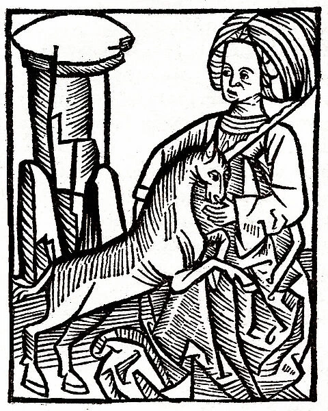 Woman with unicorn, 1491 (engraving)