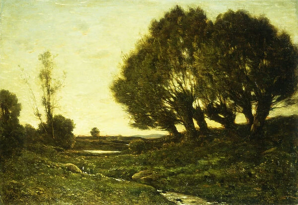 A Wooded Landscape with a Stream, 1903 (oil on canvas)