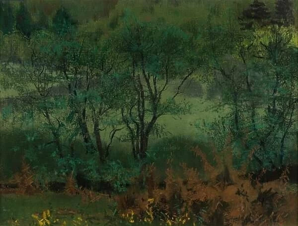 Woodland Scene, Brantrake (pastel on paper)