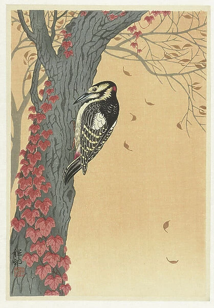 Woodpecker in a tree with red ivy, 1925-26 (colour woodcut)