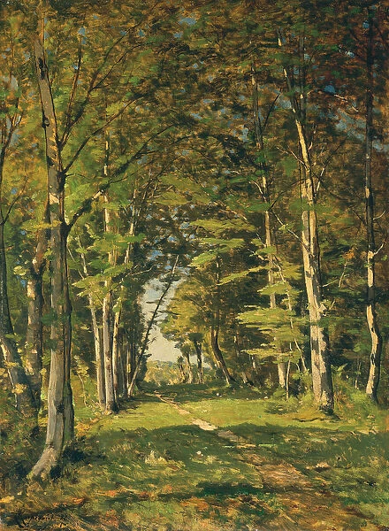 The Woods of Famars, 1887 (oil on canvas)