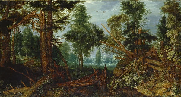 Woods after the Storm (oil on panel)